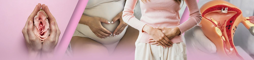 La qualité de l’endomètre chez la mère porteuse influence le taux de réussite de la grossesse