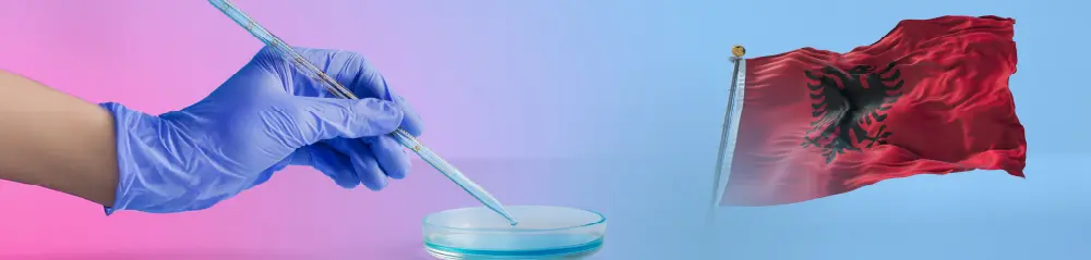 Albanie : le meilleur pays pour la gestation pour autrui des pères célibataires