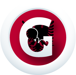 programme icon in Albania