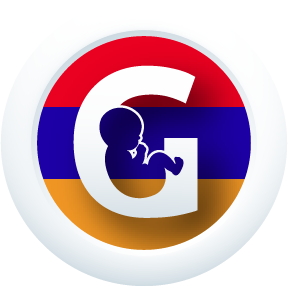 programme icon in Armenia