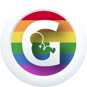 icon of same-sex family programmes