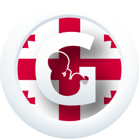 programme icon in Georgia