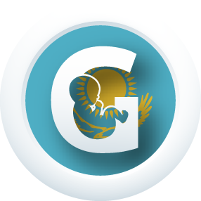 programme icon in Kazakhstan